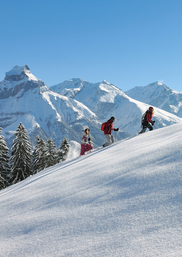 Jochpass Winter Region Schneeschuhwandern Teaser Gerschni Traill